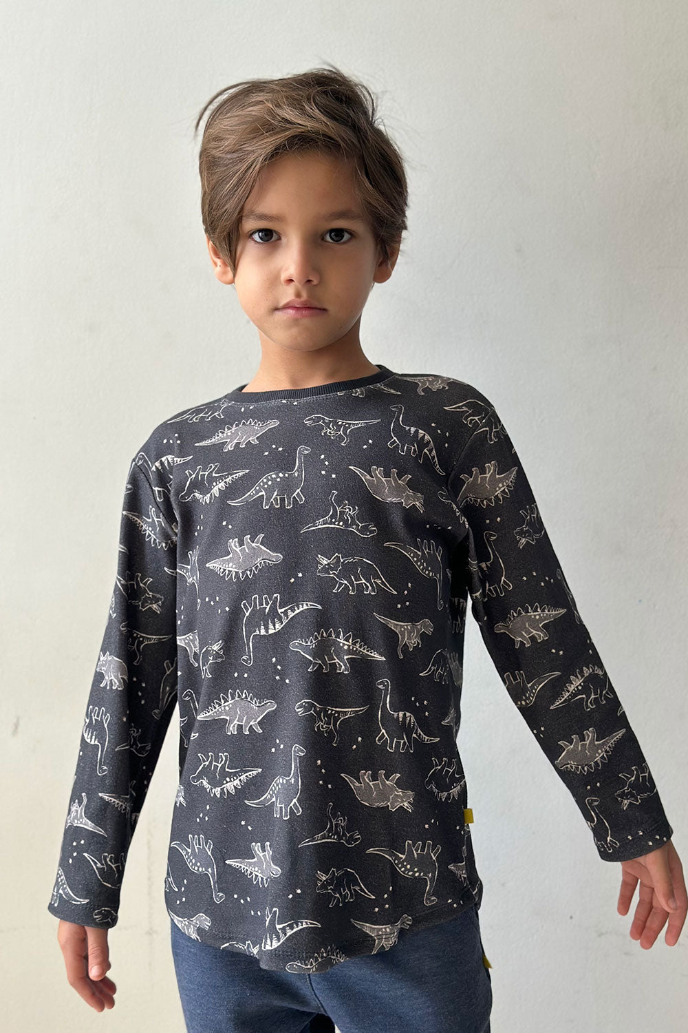 Conjunto Jurássico Longo